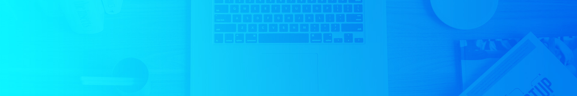 Wordpress主题